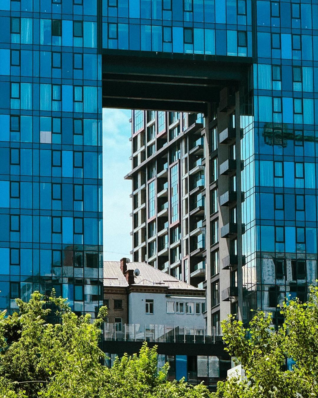 stereoserge stereoserge