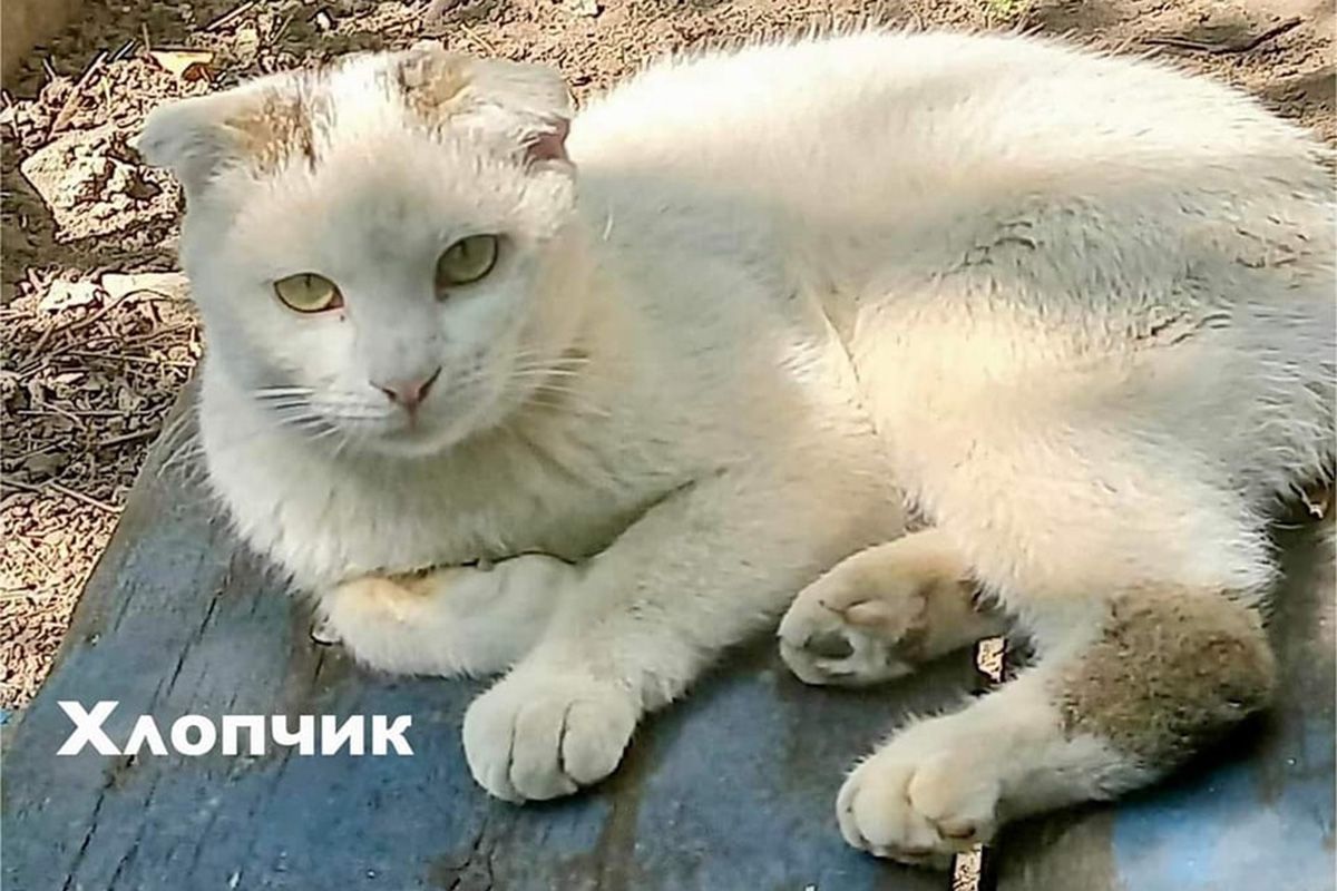 Хлопчик  Хлопчик
