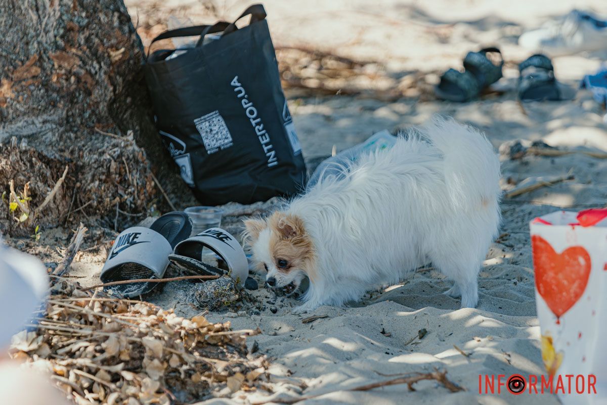 Улюбленець Улюбленець