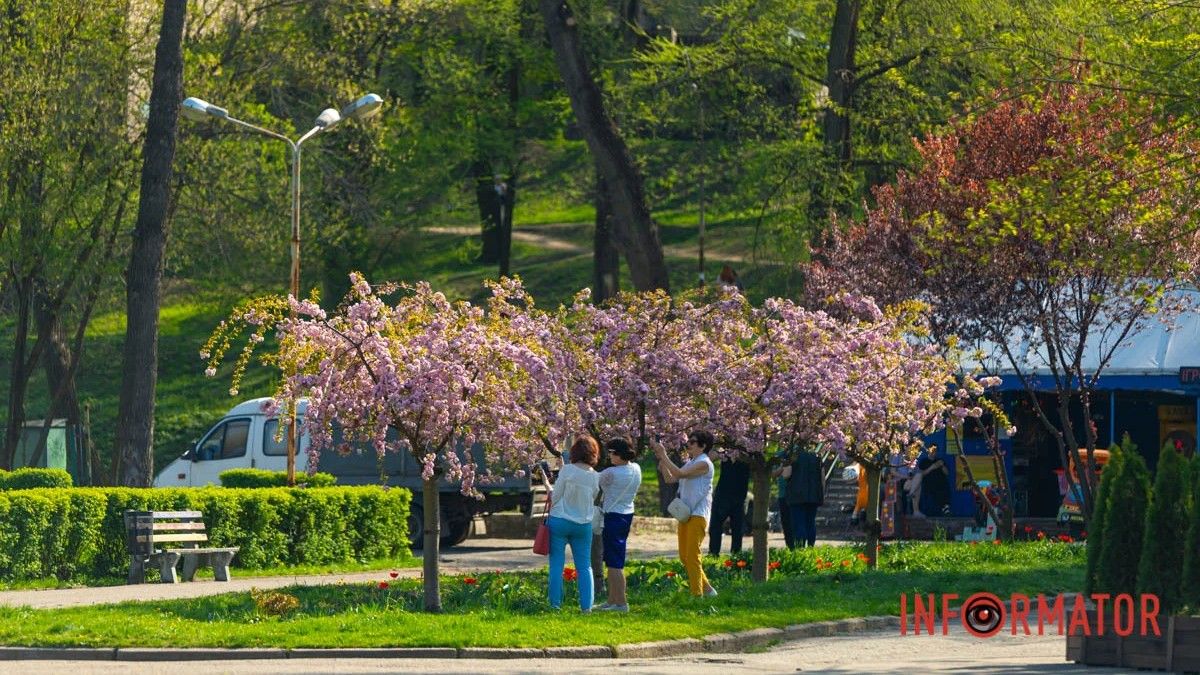 Погода на 3 червня: у Дніпрі буде ясно, вдень небо вкриють хмари