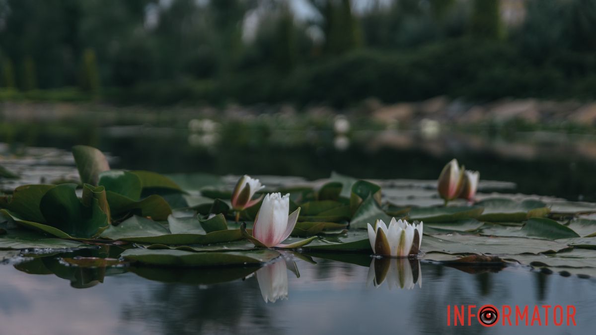 До +32 на термометрі: яка погода буде у Дніпрі 4 червня