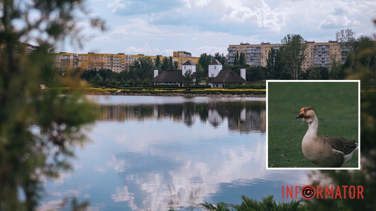 Погода на 7 червня: у Дніпрі буде слабка хмарність