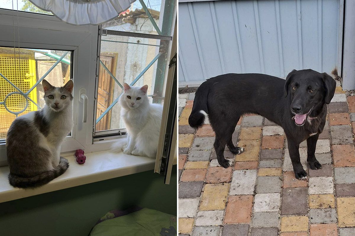 Посмотрите в эти глазки