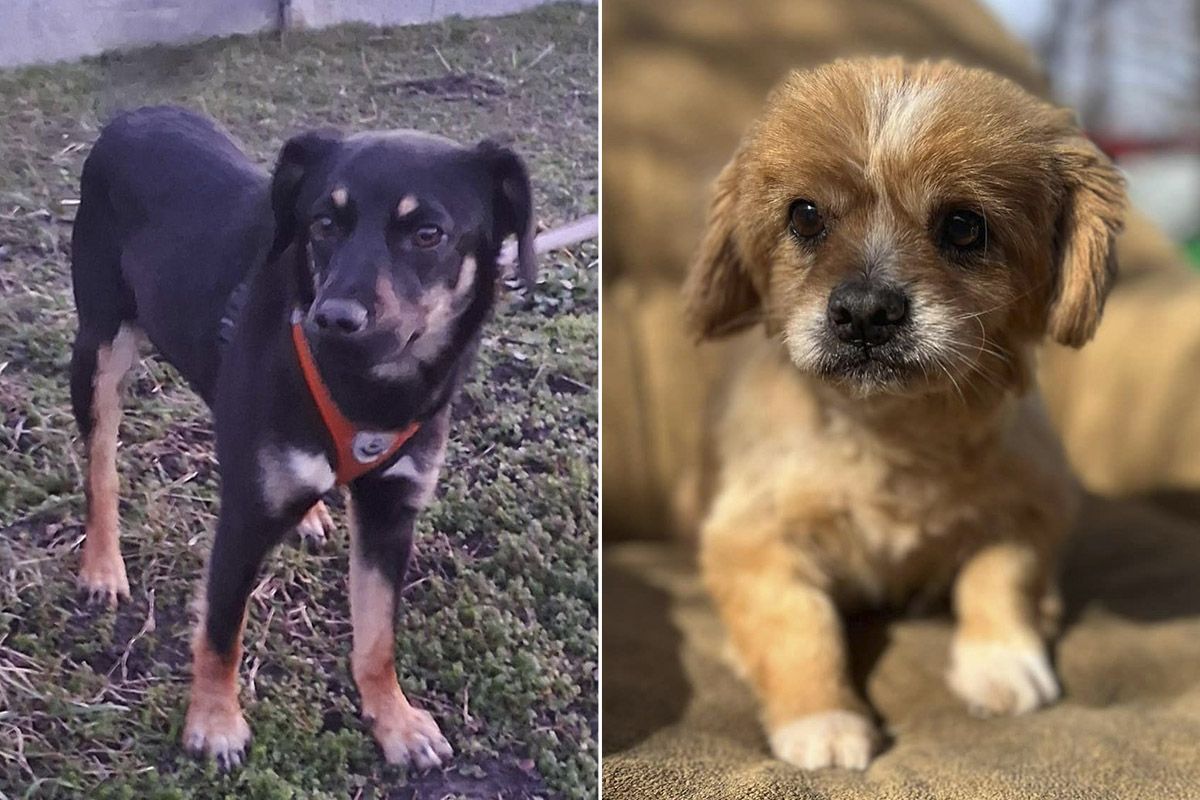 Возможно, они ждут именно вас!