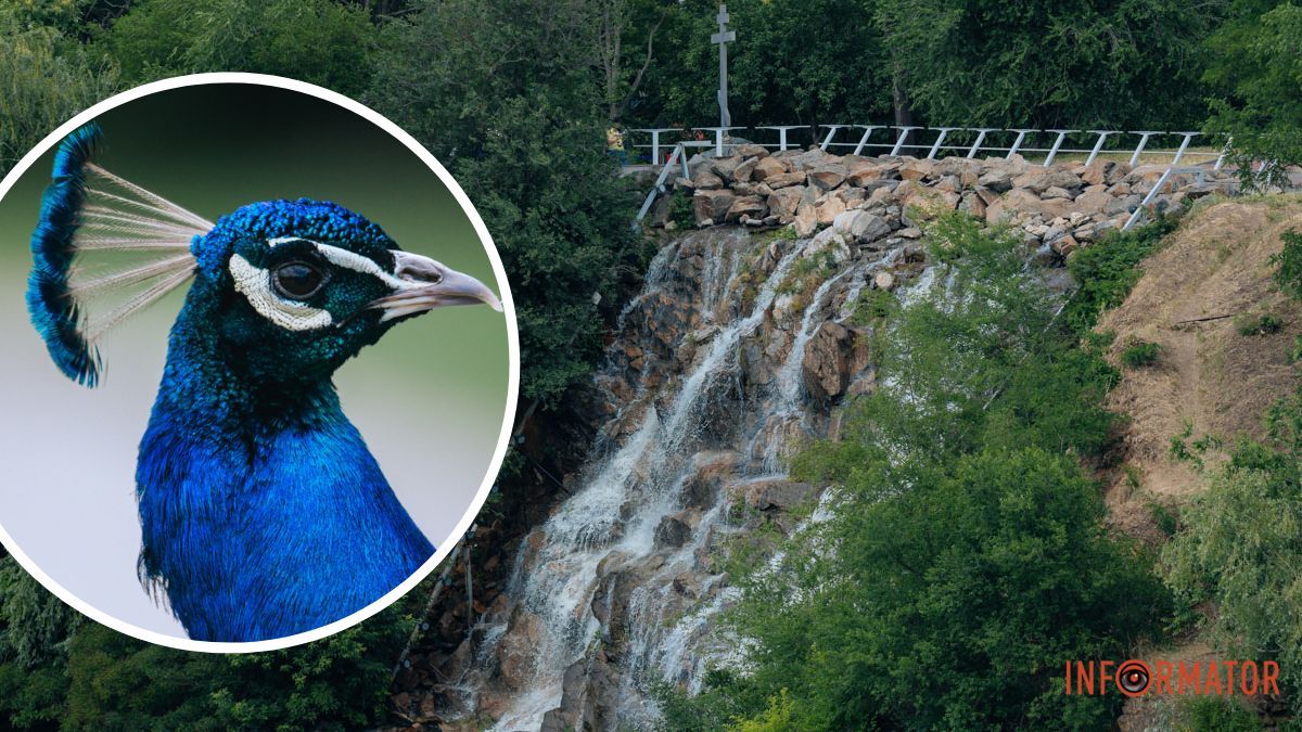 Погода на 8 червня: у Дніпрі буде невеликий дощ