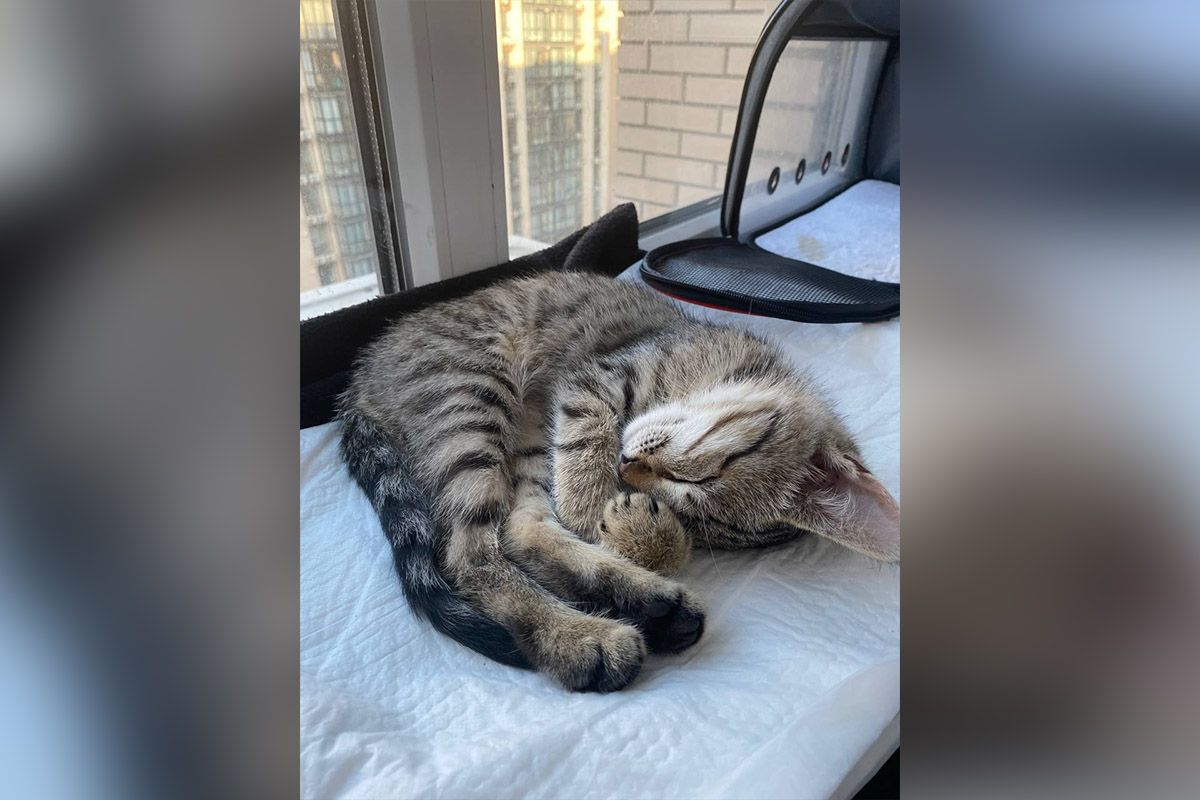 Дуже мила дівчинка Дуже мила дівчинка