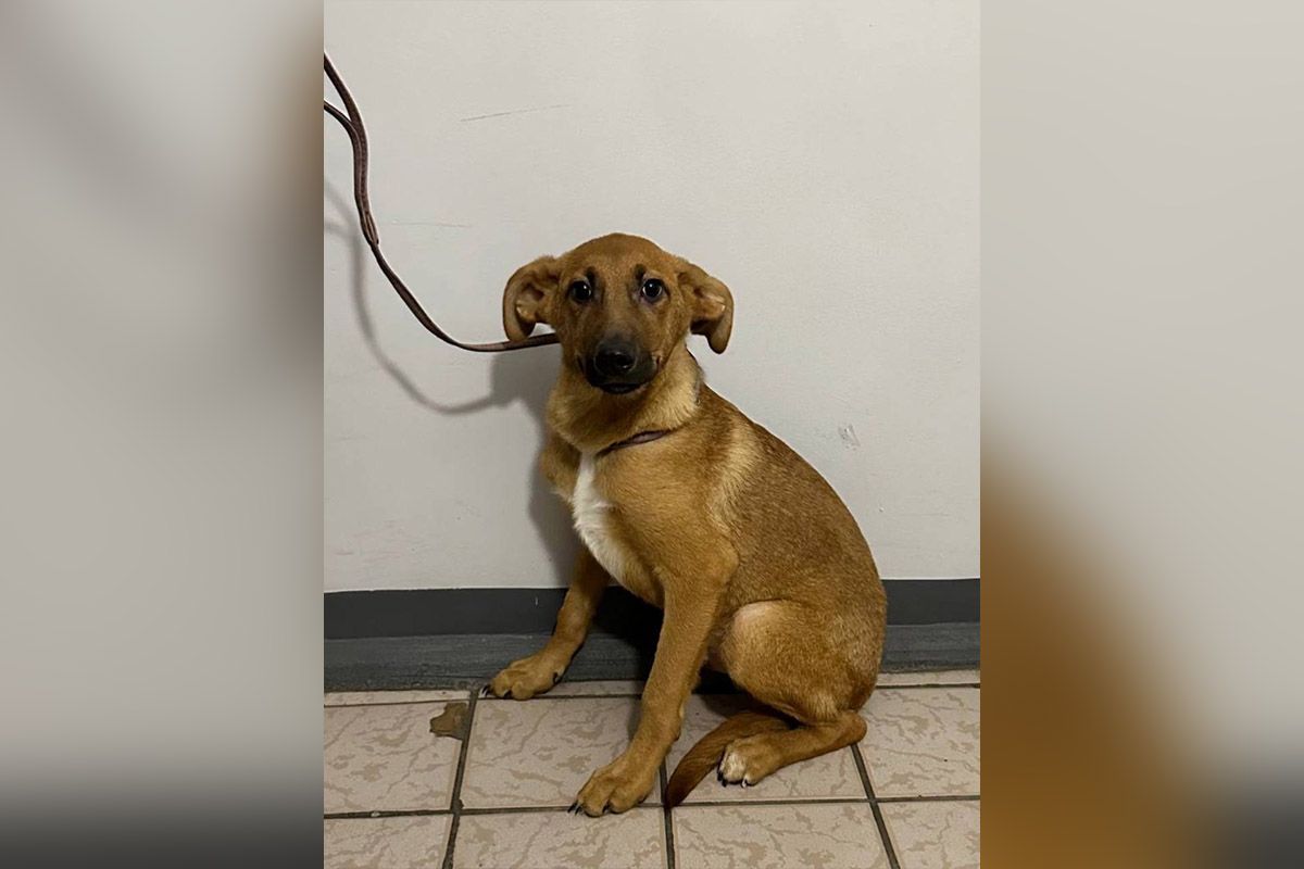 Ви тільки подивіться на нього Ви тільки подивіться на нього