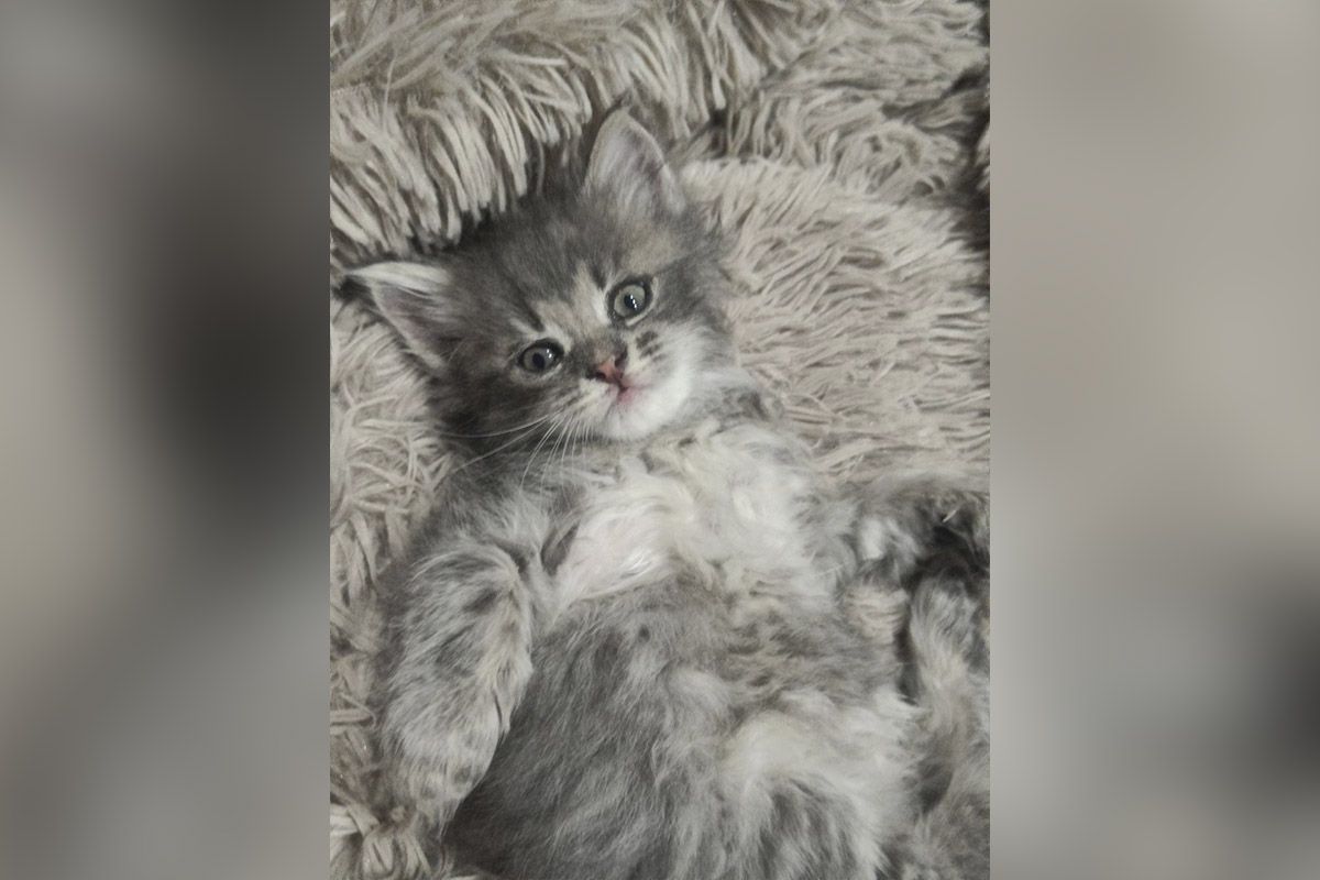 Просто красуня Просто красуня