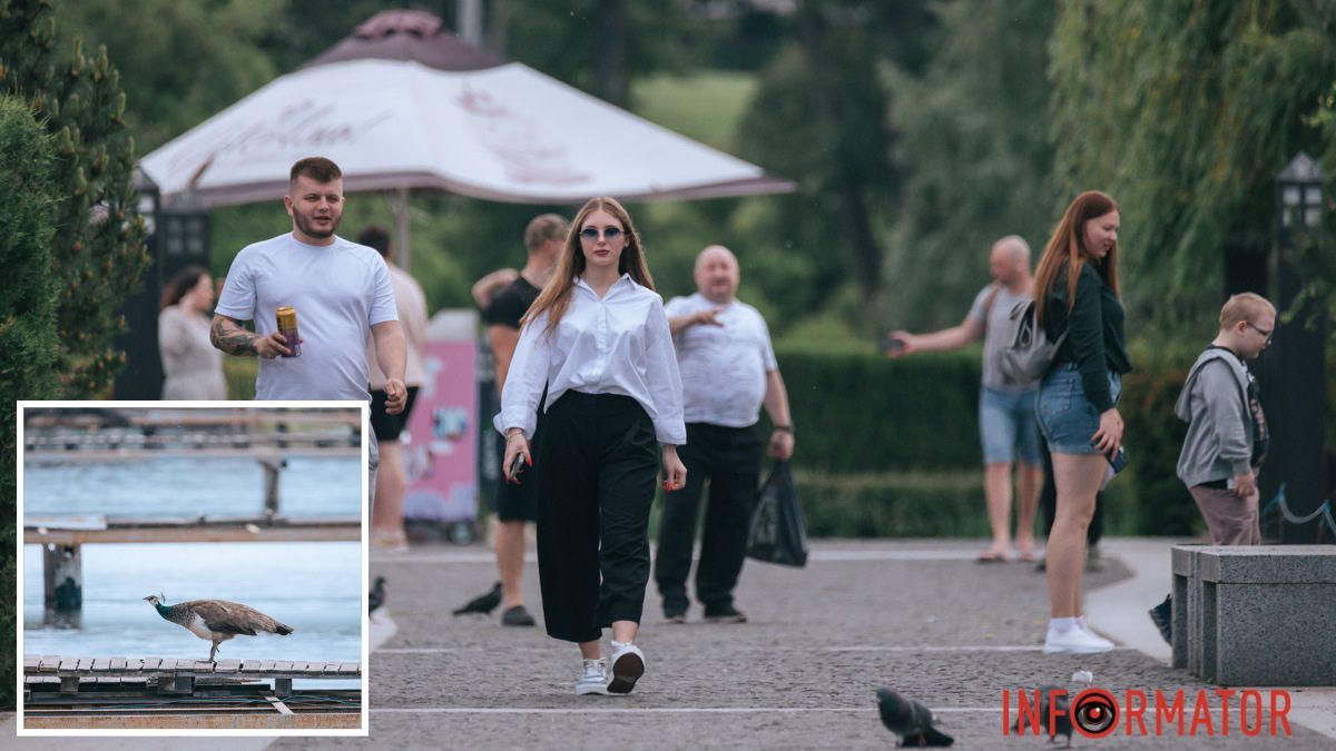 Погода на 10 червня: у Дніпрі цілий день буде похмуро, ввечері — ясно