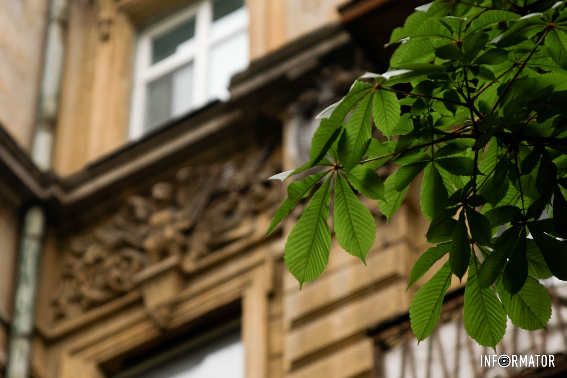 Досі його не знайшли, хоча обшуки проводили неодноразово