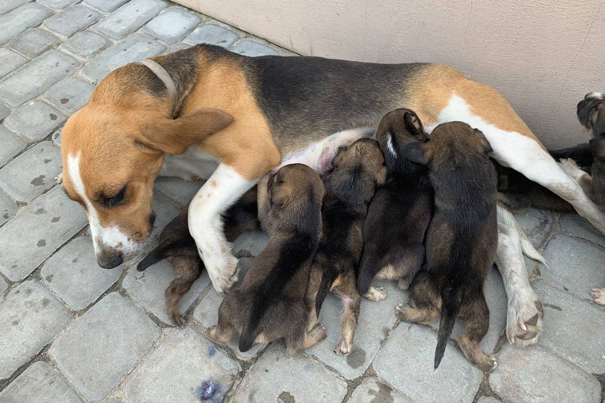 Вы только посмотрите на это чудо Вы только посмотрите на это чудо