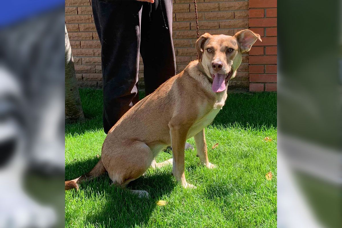 Те - Дана Это - Дана