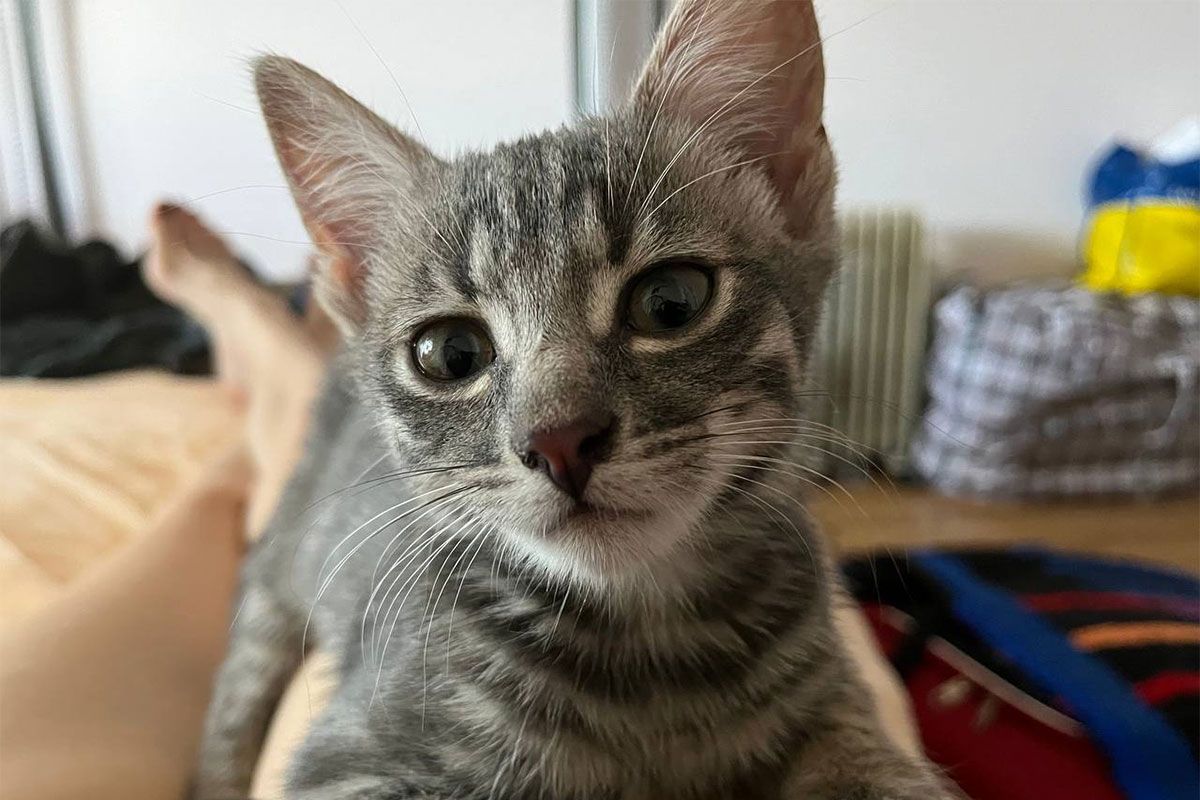 Какой милый красавец Какой милый красавец