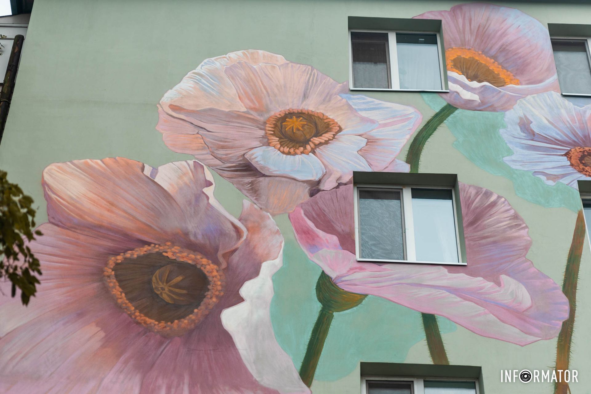 На нем изображен охапка нежных полевых цветов На нем изображен охапка нежных полевых цветов