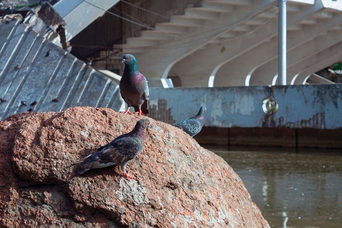 Фото: @photographer_andrey_moroz Фото: @photographer_andrey_moroz