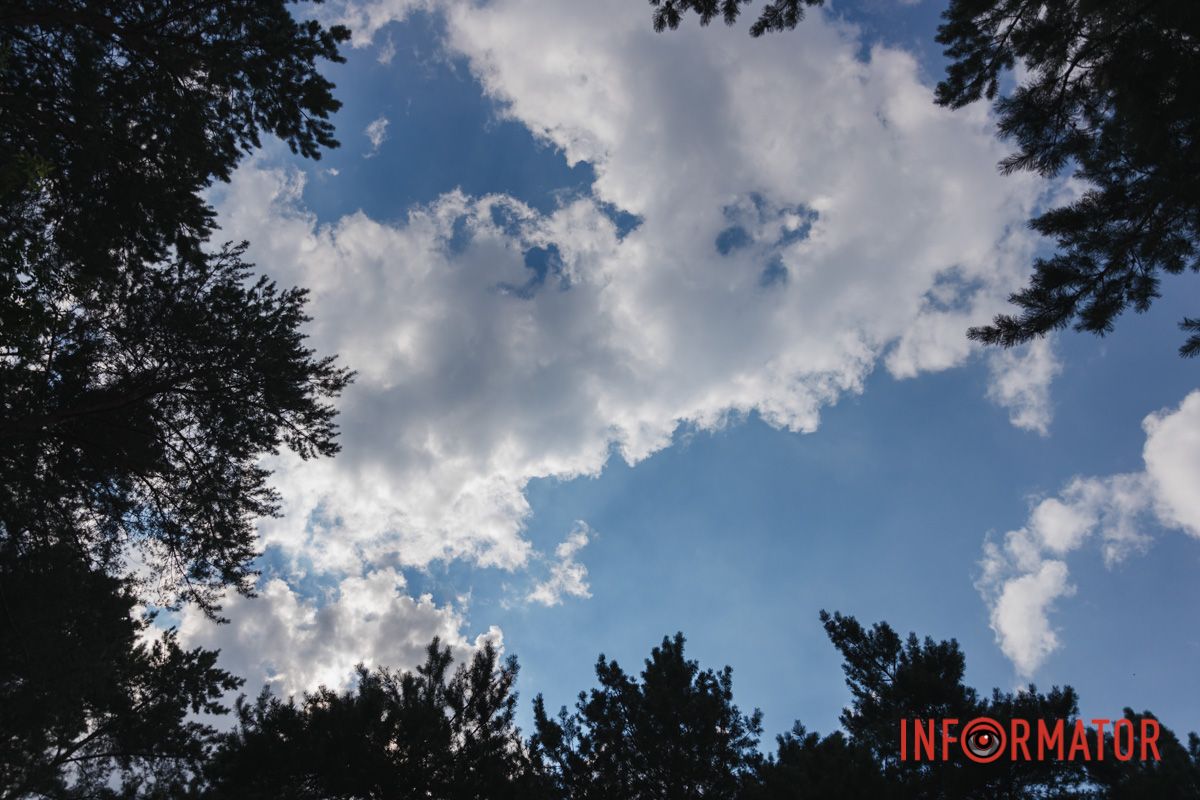 Там повільна черепаха,