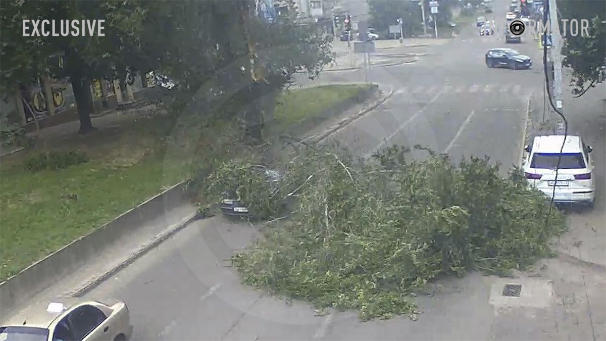 В Днепре на Антоновича дерево упало на автомобили и оборвало провода: видео момента