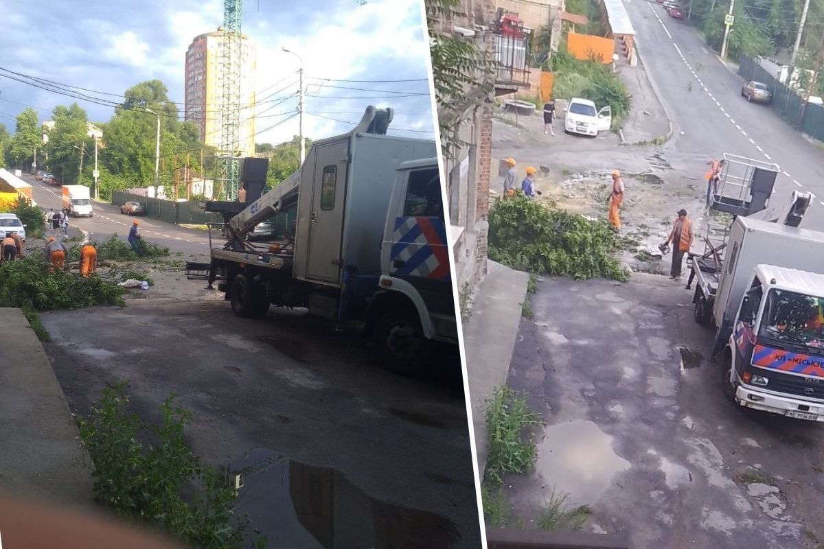 Дерево впало і на вулиці Південній Дерево впало і на вулиці Південній