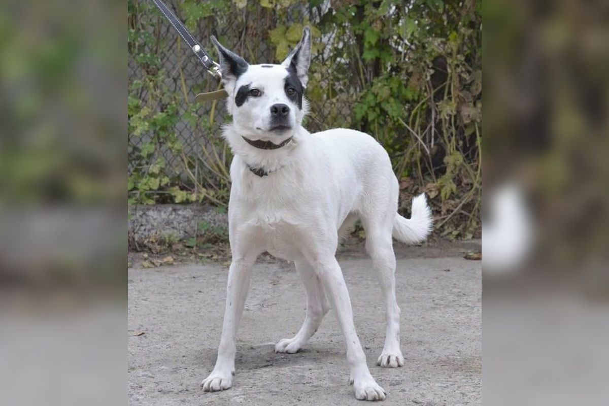 Белла ждет свою семью уже семь лет