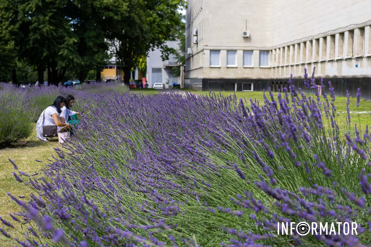 Привлекает внимание Привлекает внимание