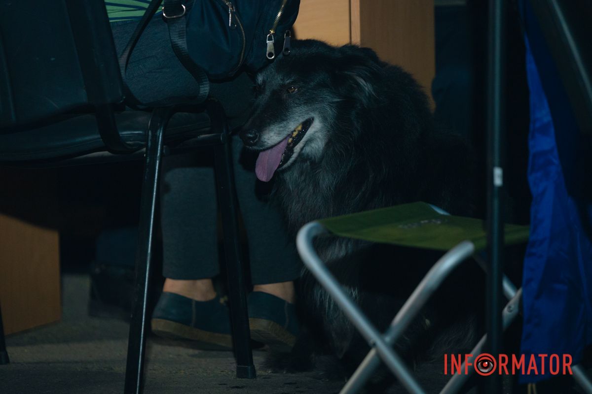 Брати наші менші