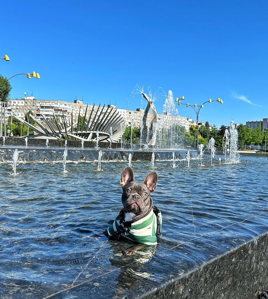 not.peppa.pig not.peppa.pig