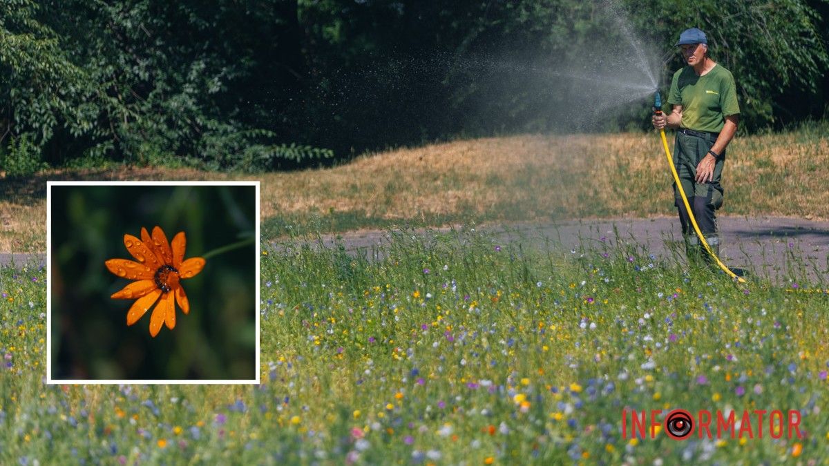 Погода на 1 липня: у Дніпрі буде ясно