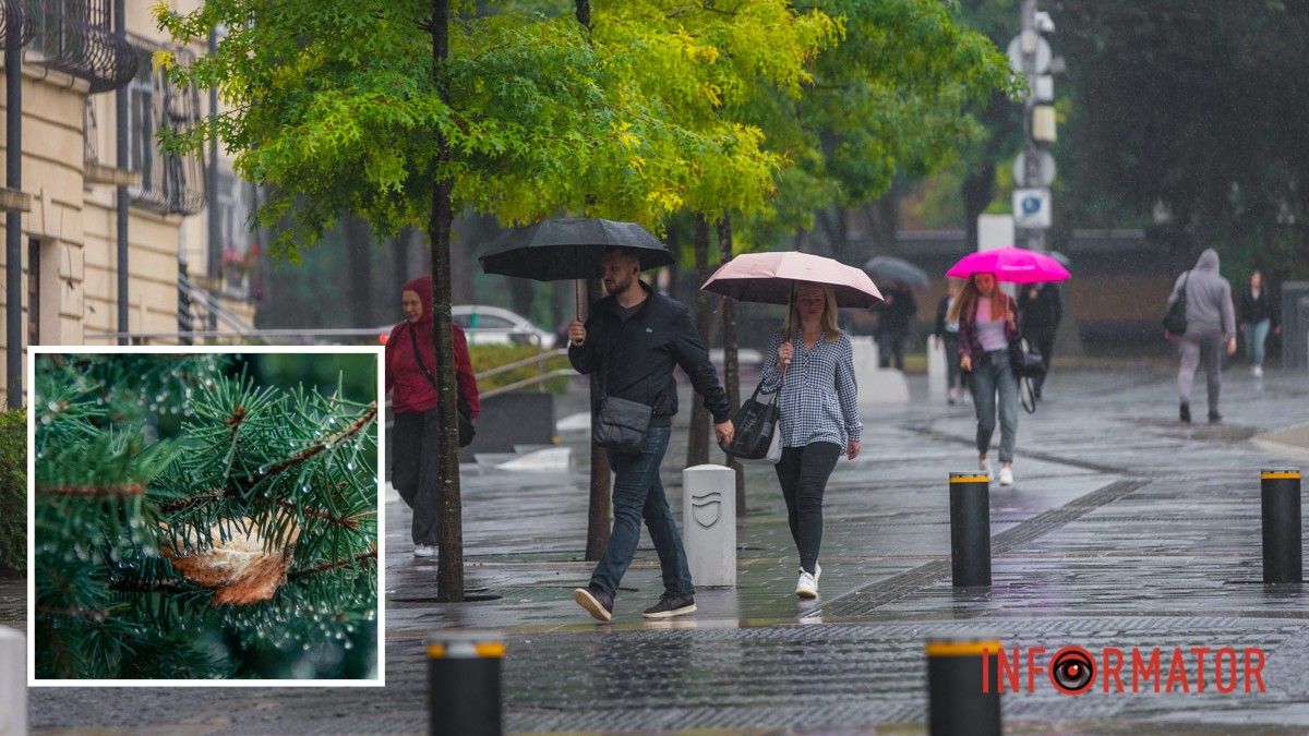 Погода на 5 липня: у Дніпрі очікується невеликий дощ