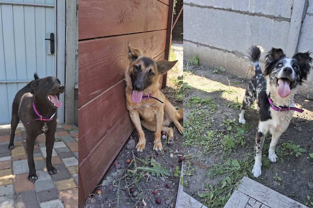 Можливо, вони чекають саме на вас! Можливо, вони чекають саме на вас!