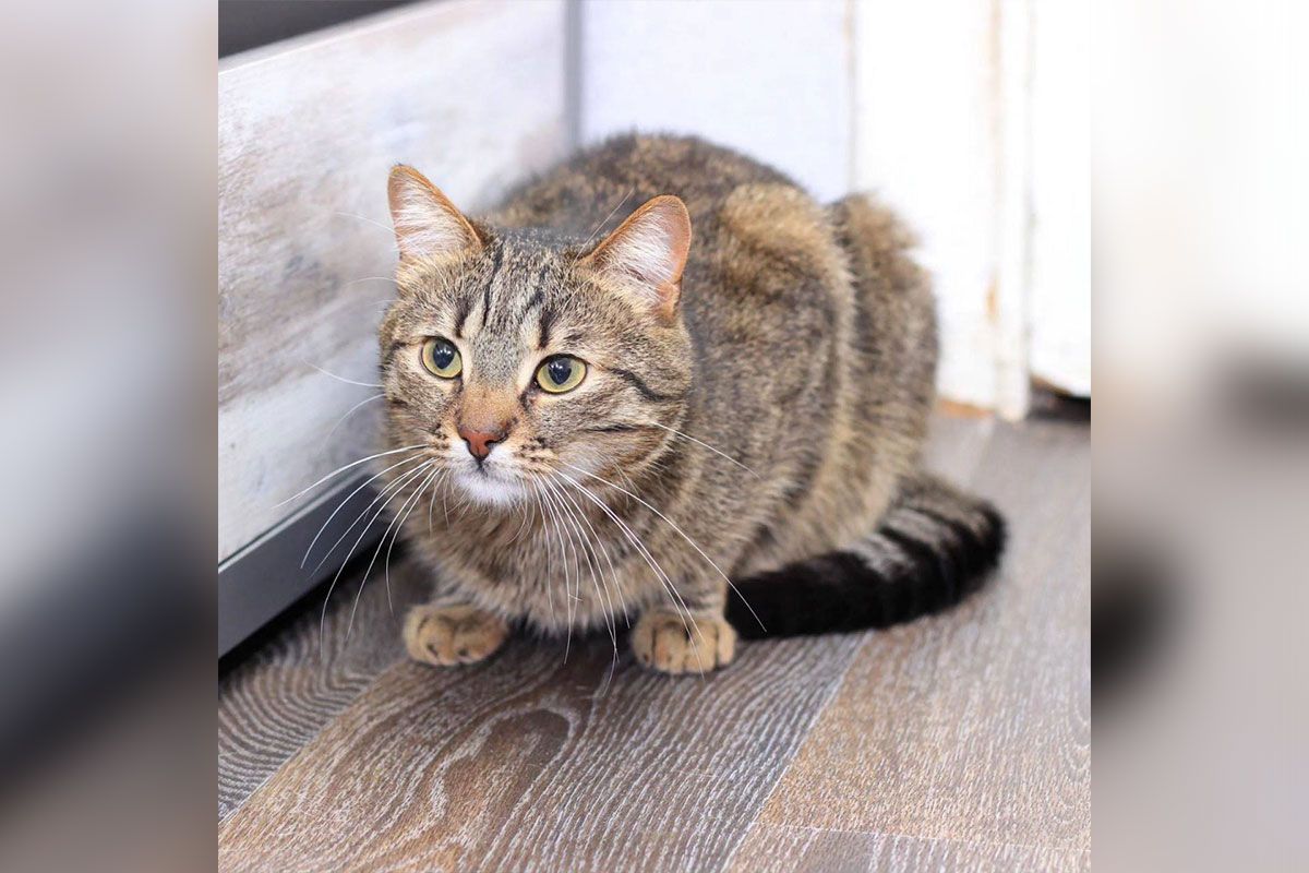 Який красень Який красень