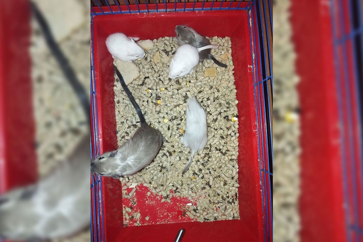 Придивіться до фото Придивіться до фото