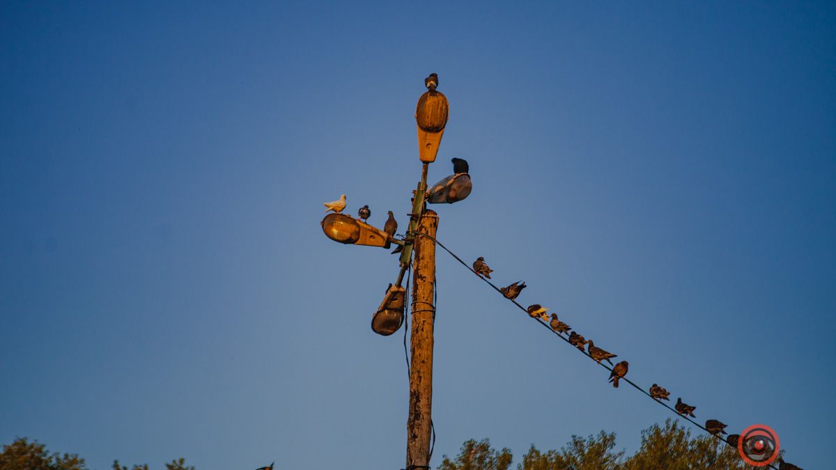 Погода на 8 липня: у Дніпрі буде ясно