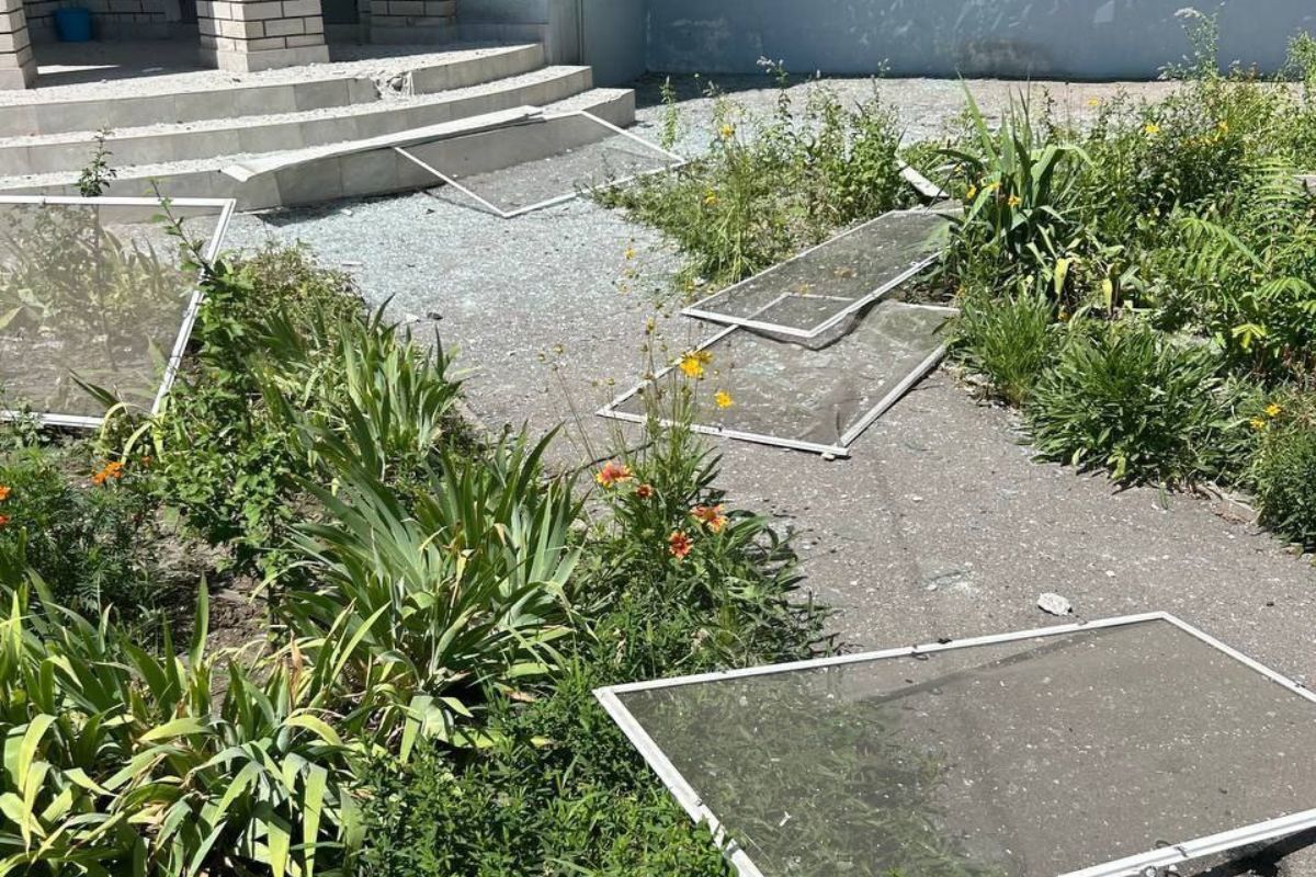 Вилетіли москитні сітки Вилетіли москитні сітки