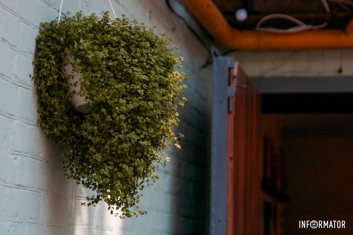 У Дніпрі вікдрився унікальний заклад  У Дніпрі вікдрився унікальний заклад