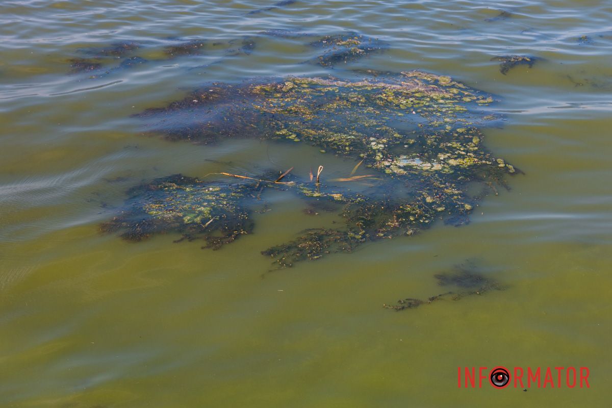 Каждый год одно и то же