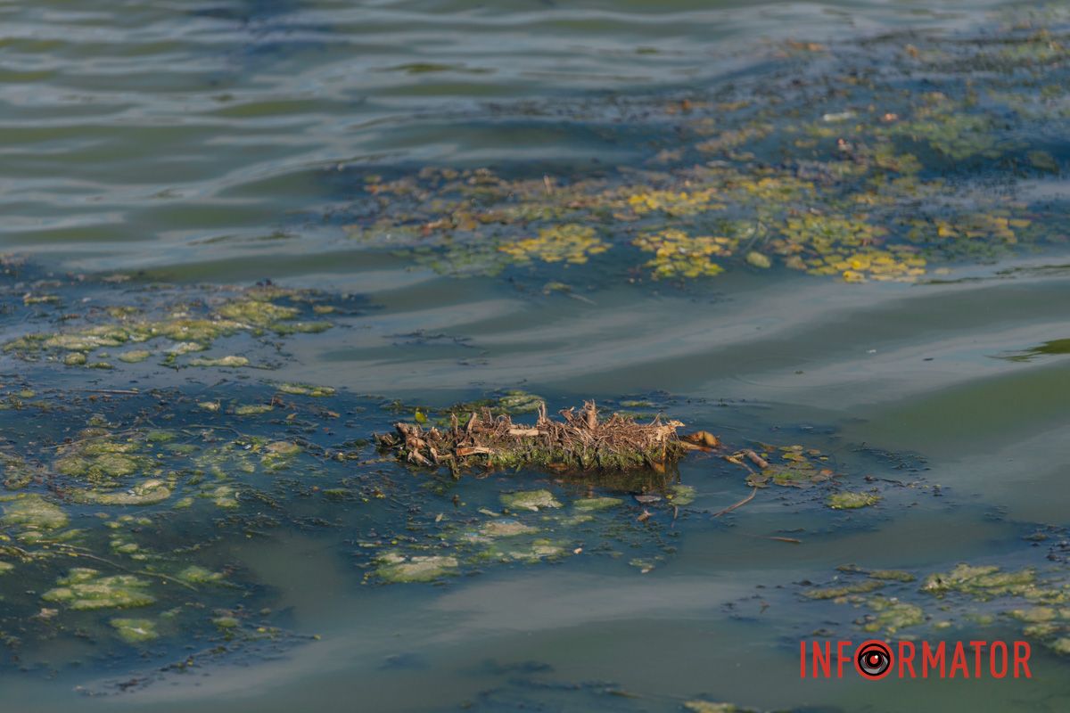 Мусор на берегах реки создает неприятный вид