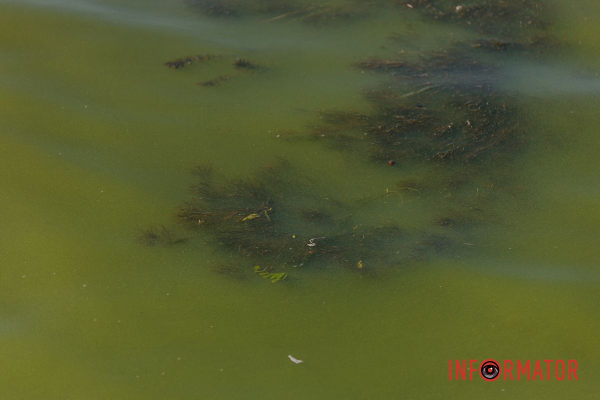 Фото: Денис Чубченко