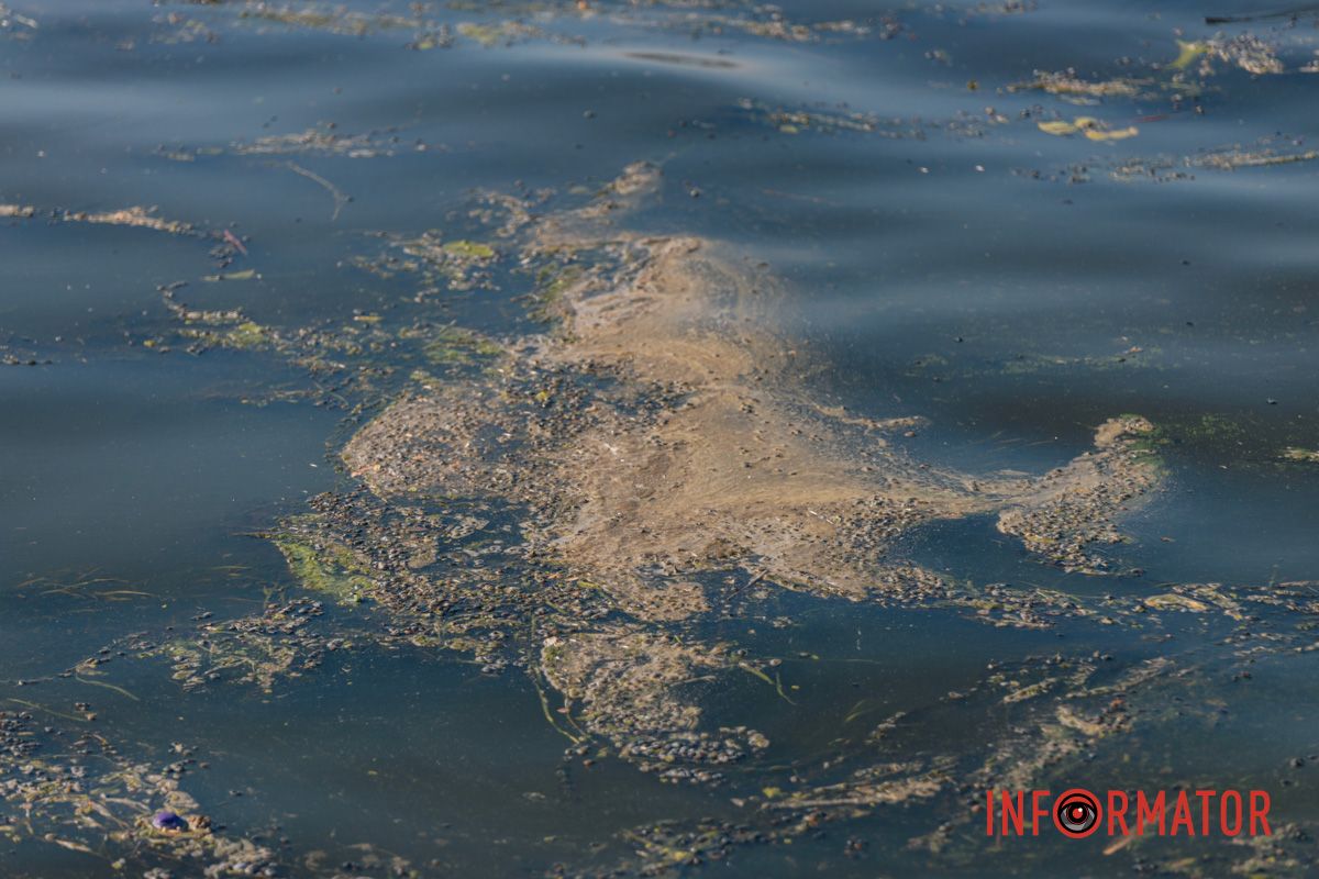 Аномальная жара привела к 