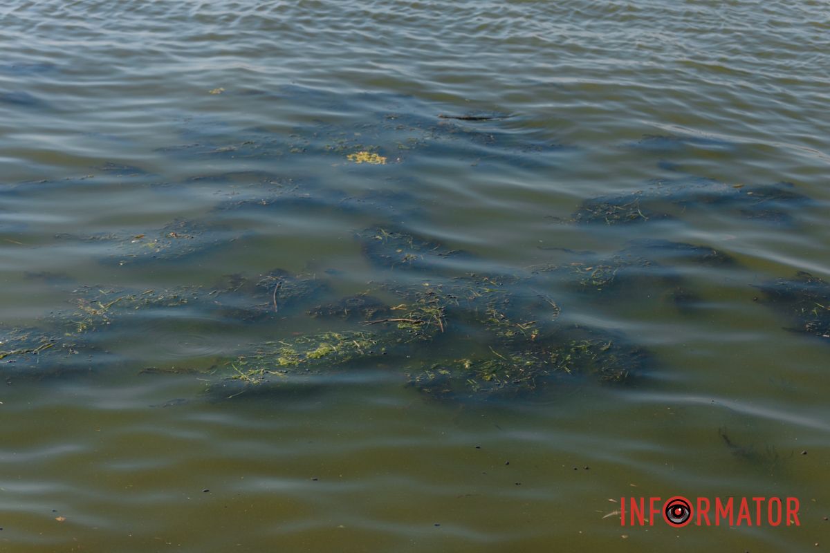 И это наша река