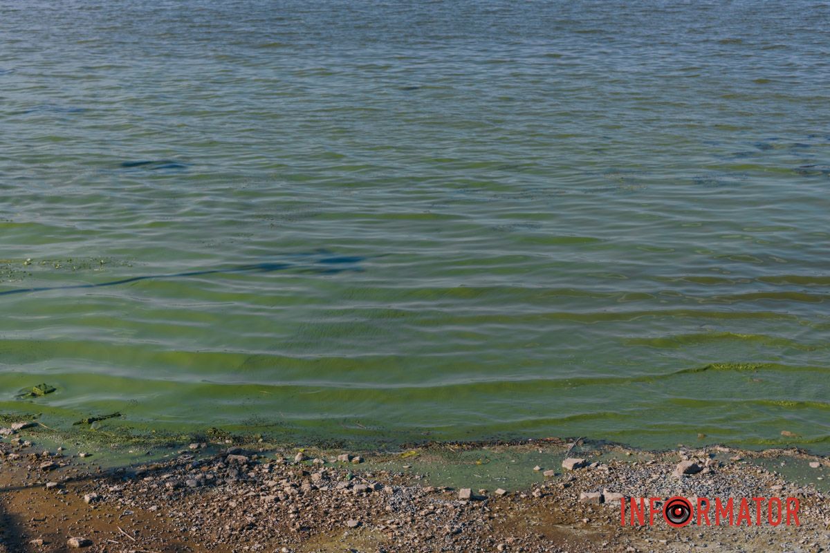 Все хотят прохлады