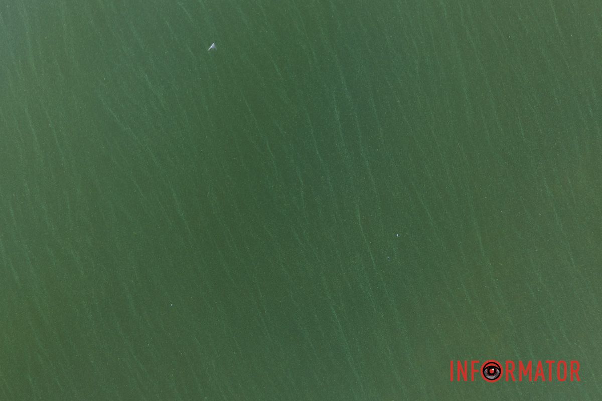 Зеленая вода