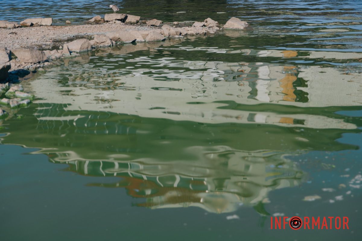 Вода реки стала ярко-зеленого цвета