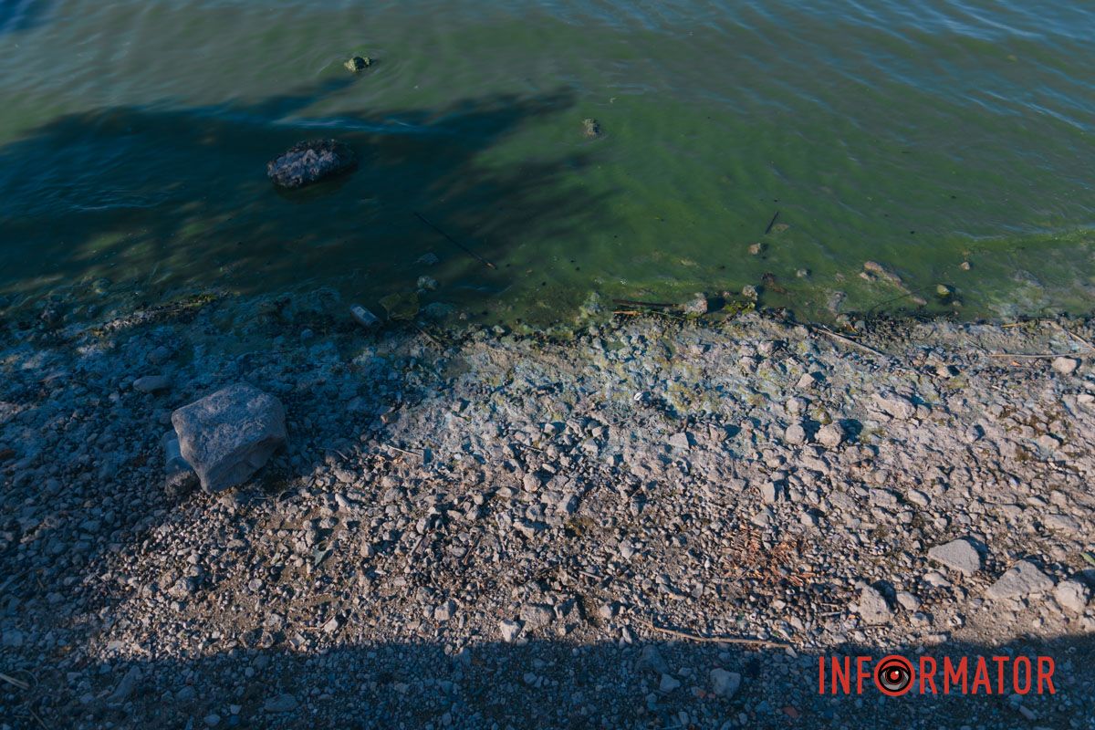 На Фестивальном причале и возле ресторана 