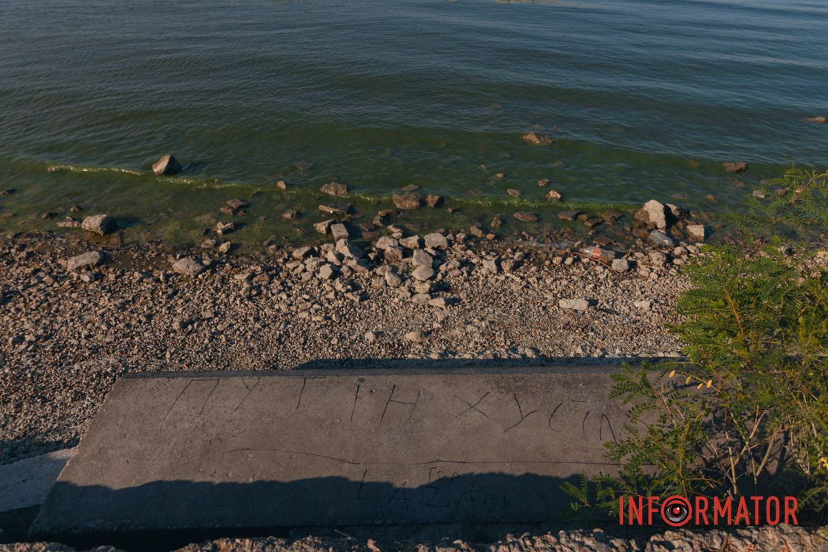 Оказалось, что это зацвел Днепр