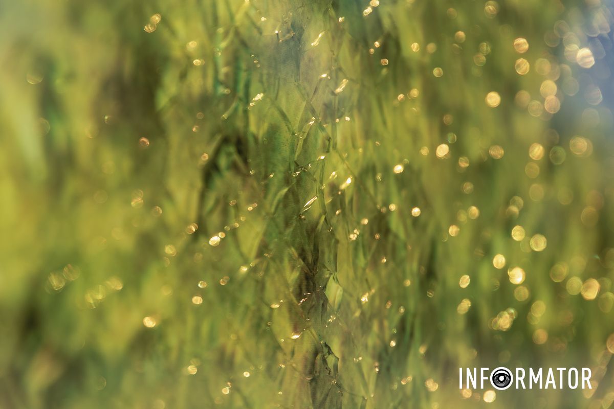 Стели відкрили в Дніпрі в 2017 році