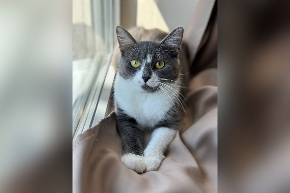 Ее зовут Эльза Ее зовут Эльза