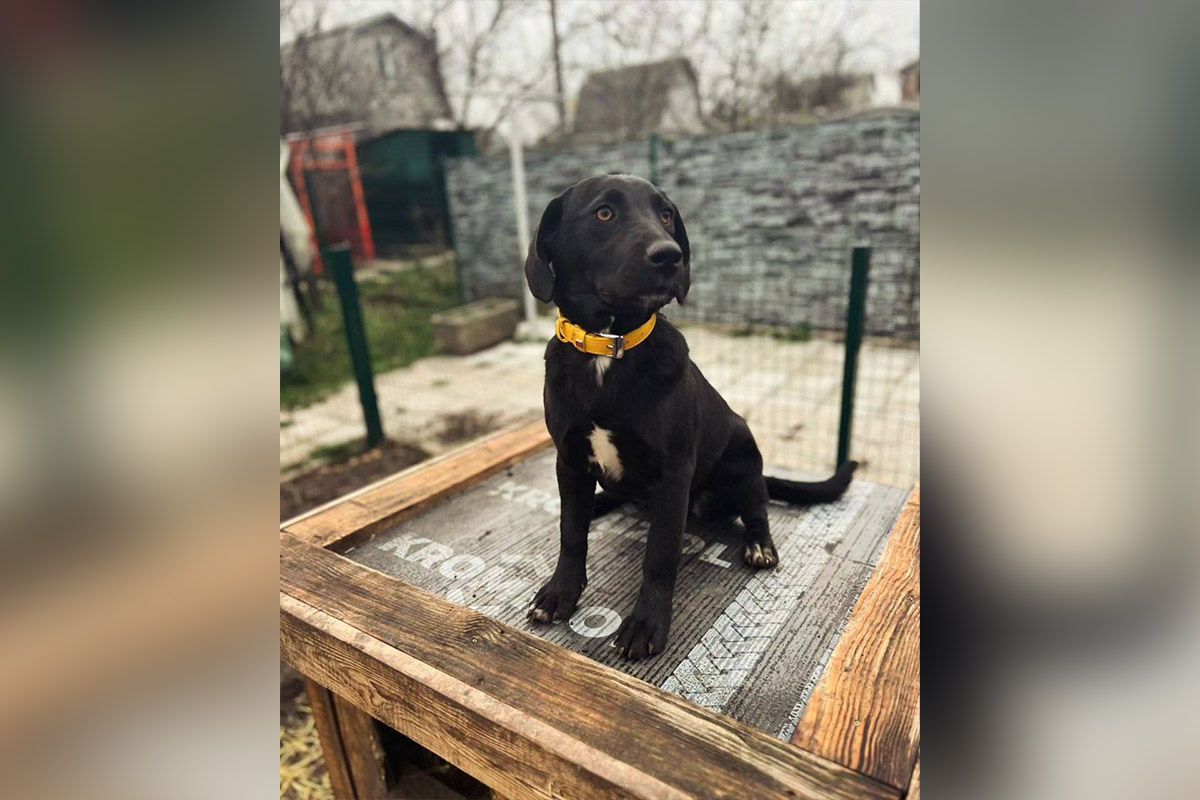 Ее зовут Бьянка Ее зовут Бьянка