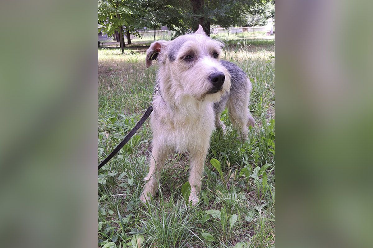 Его зовут Красавец Его зовут Красавец