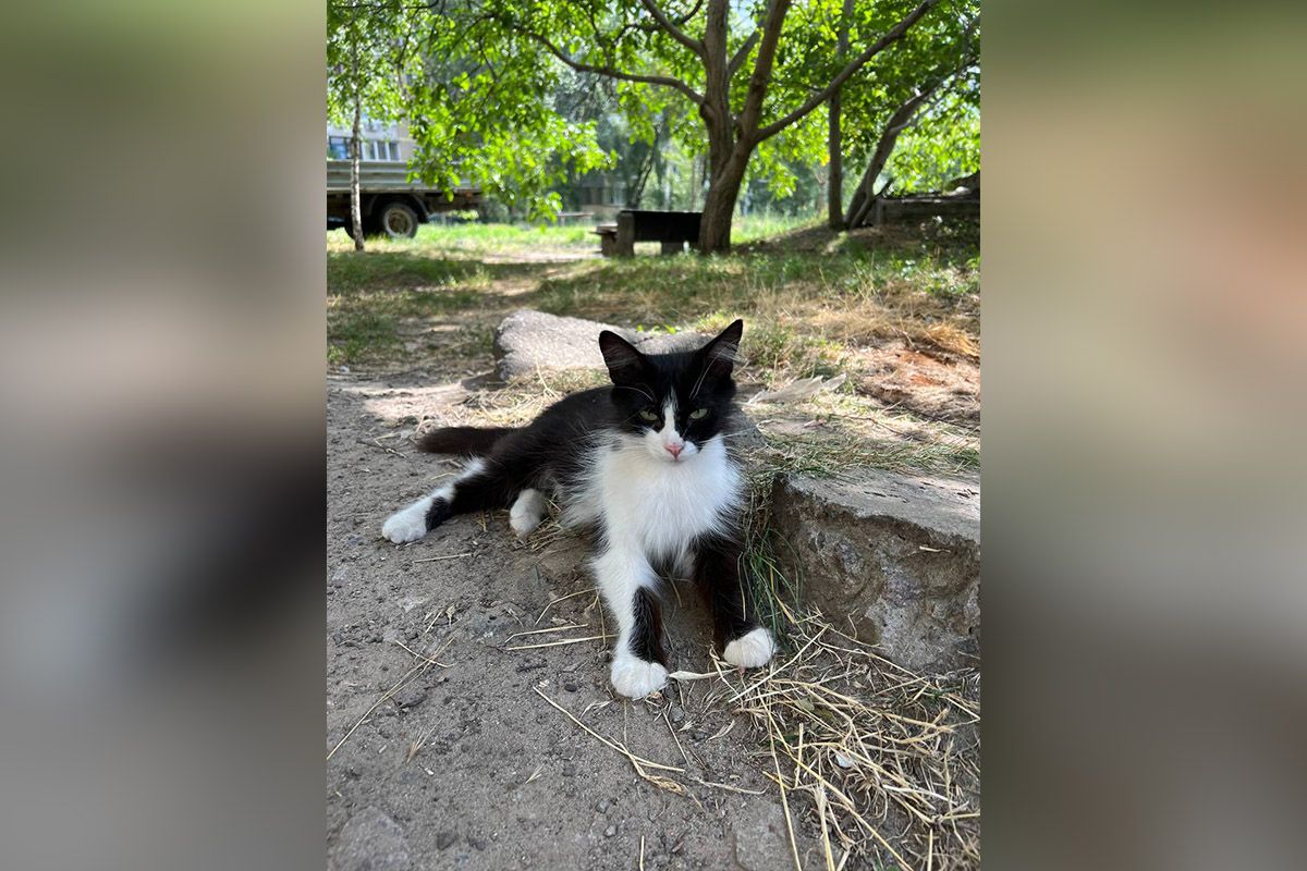 Ее зовут Малая Ее зовут Малая