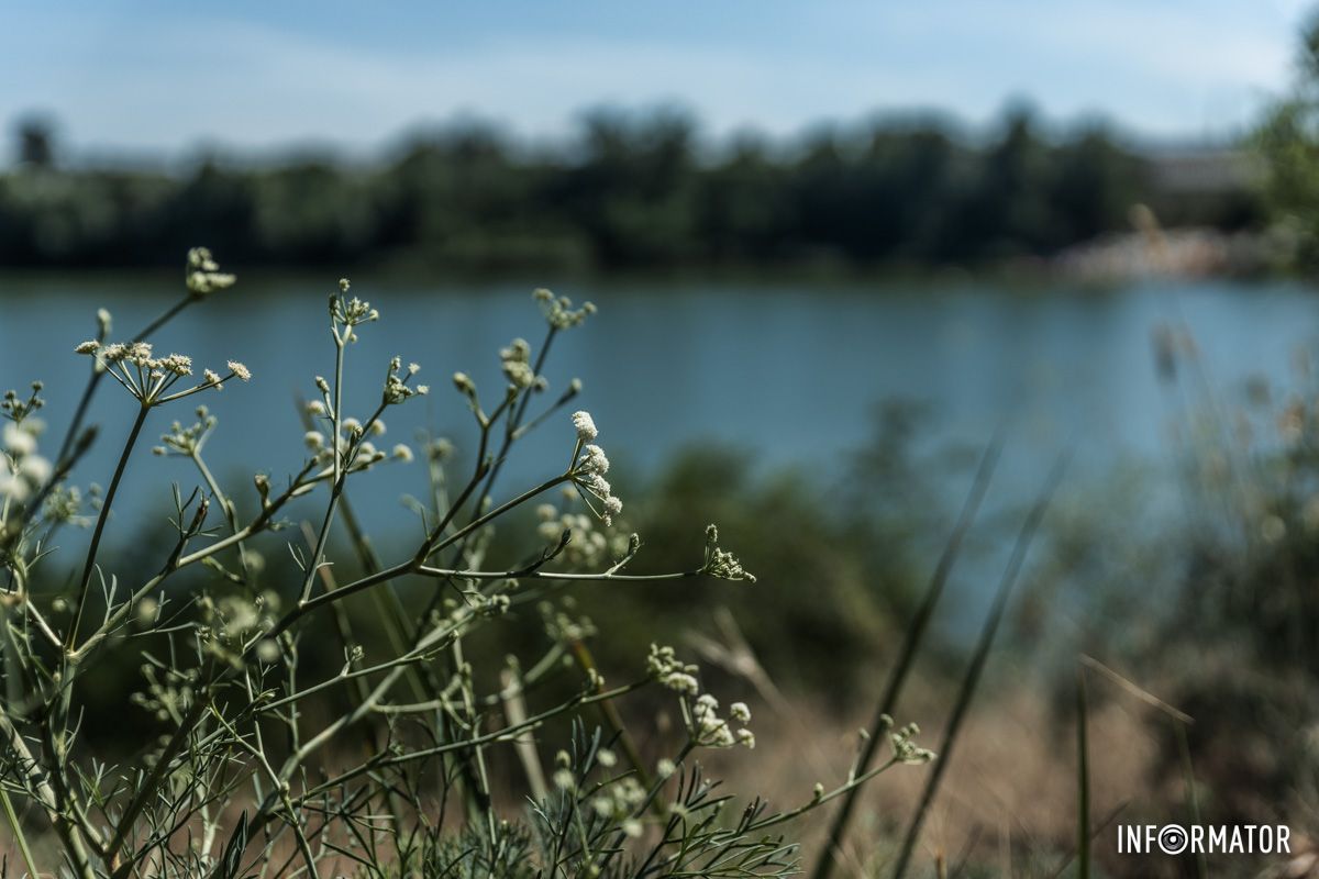 Озеро стало подлинным спасением от летней жары